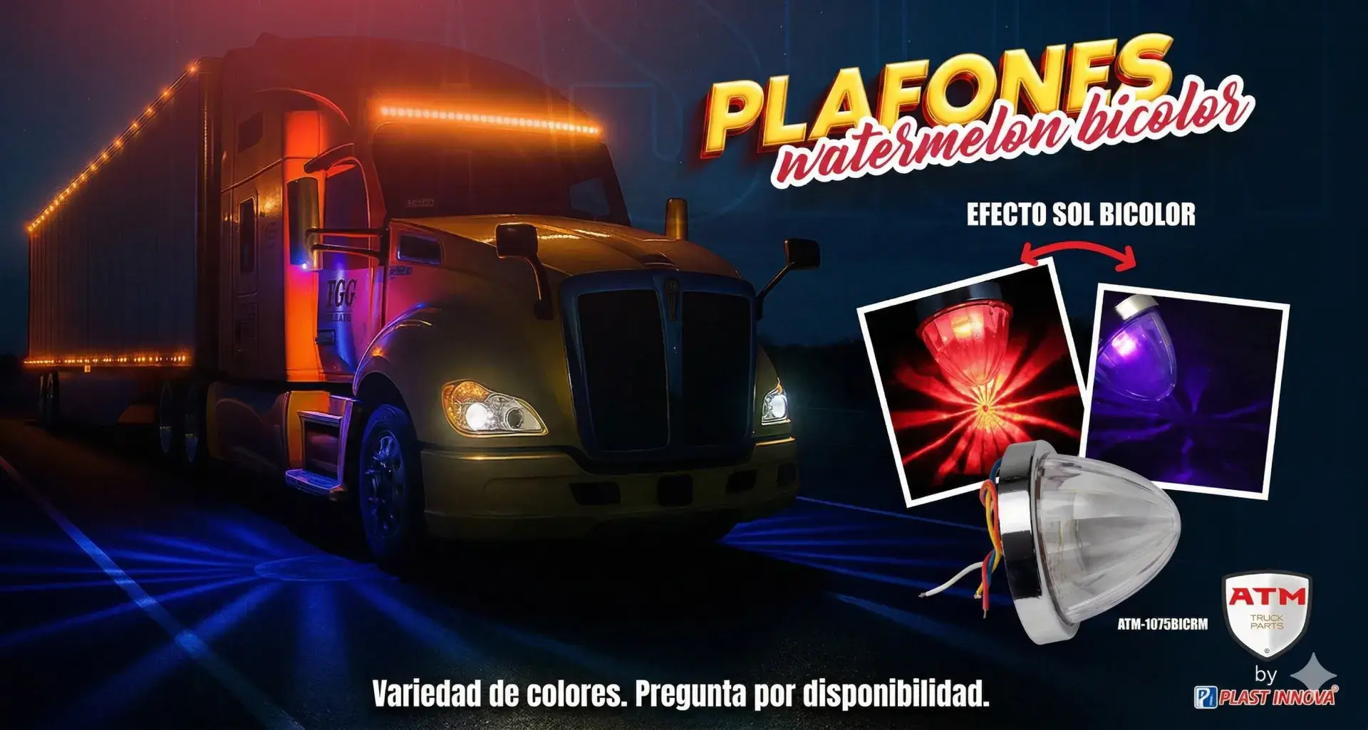 imagen copia