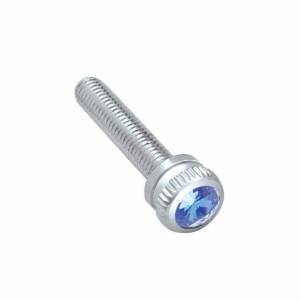 UNITED PACIFIC - 23866B - TORNILLO DE SALPICADERO PARA KENWORTH 2002 - CRISTAL AZUL (GRANEL)