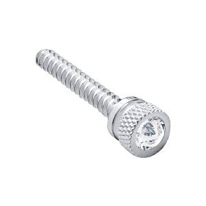 UNITED PACIFIC - 24053 - TORNILLO DE TABLERO LARGO CROMADO CON CRISTAL TRANSPARENTE PARA FREIGHTLINER (PACK DE 2)