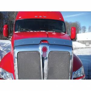 UNITED PACIFIC - UNITED PACIFIC - 29006 - PROTECCIÓN CONTRA ERRORES DE ACERO INOXIDABLE 430 PARA KENWORTH T700 2011+ - Image 2