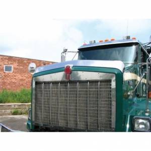 UNITED PACIFIC - UNITED PACIFIC - 29008 - PROTECTOR DE INSECTOS DE ACERO INOXIDABLE 430 PARA CAPOTA ANCHA KENWORTH T800/C500 (2007+) - Image 2