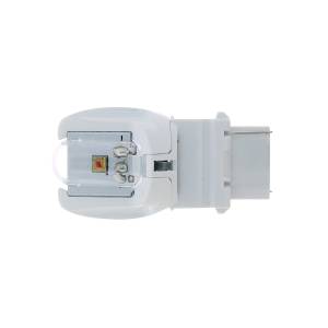 UNITED PACIFIC - UNITED PACIFIC - 36543 - BOMBILLA LED 3156 DOBLE DE ALTA POTENCIA - ÁMBAR - Image 4