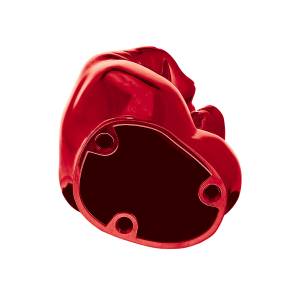 UNITED PACIFIC - UNITED PACIFIC - 72086 - ADORNO CAPUCHA PARA DEDO COLOR CANDY-ROJO CANDY - Image 7