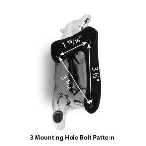 GRAND GENERAL - GRAND GENERAL - 48187GG - ADORNO PARA COFRE OSO NEGRO MATTE - Image 4